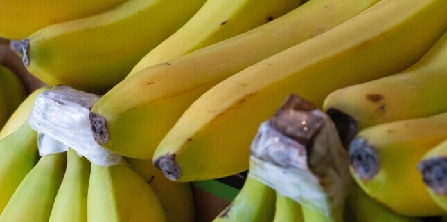 Banana Allergy or Intolerance