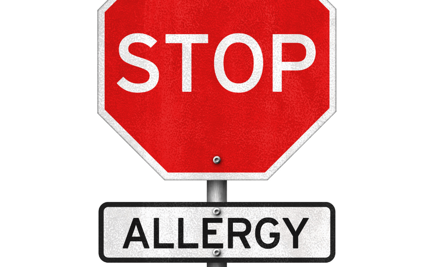 Allergy Stop Sign
